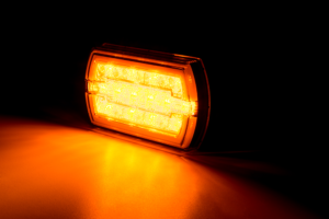 LED Žibintas 2789